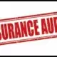 insurance-audit